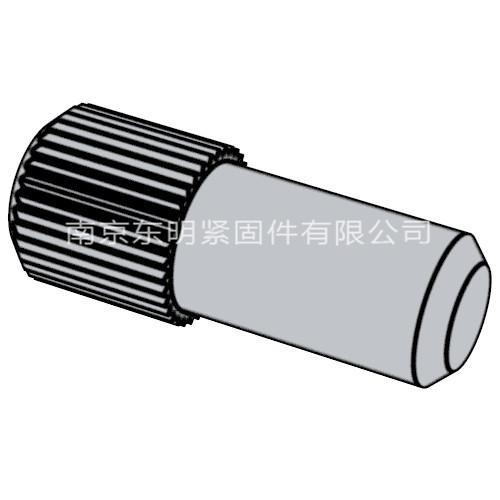 QC T 364 - 1999 滚花圆柱销