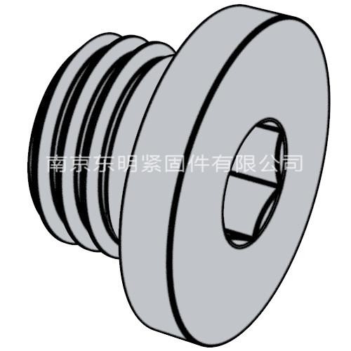 DIN 908 - 2012 内六角圆柱头喉塞