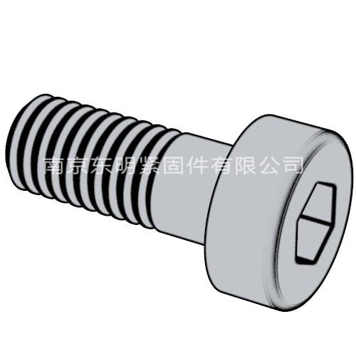 DIN 6912 - 2009 内六角带导向孔矮圆柱头螺钉